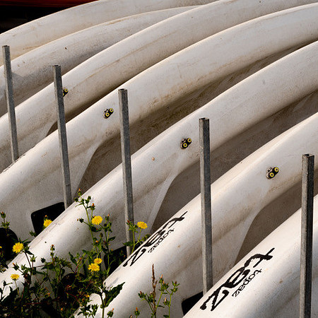 Whitstable Canoes